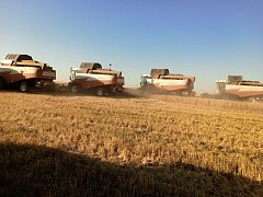 Уборочная кампания в Ершовском районе приближается к завершению