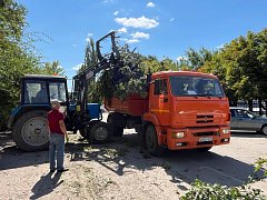 МКУ «Благоустройство» продолжает благоустраивать Ершов
