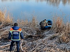 На водоеме в г.Ершове лебеди показали спасателям, что в помощи не нуждаются