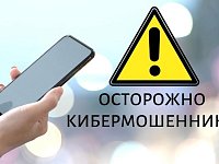 Полиция напоминает: неиспользуемые сим-карты следует откреплять от Госуслуг и мобильных приложений