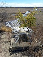 Благодаря региональной программе населенные пункты Ершовского района будут обеспечены водой