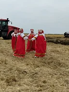 Ершовские культработники устраивают концерты для хлеборобов прямо в полях