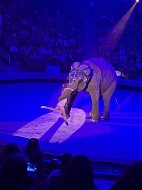 Третьеклассники ершовской школы совершили увлекательную поездку в Саратов