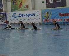 В ФОКе «Дельфин» г. Ершова прошло открытое занятие по гимнастике