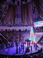 Дети участников СВО из Ершова посетили новогоднее цирковое представление в Саратове