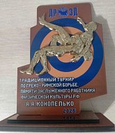 Воспитанник ершовской спортивной школы привез с престижных соревнований бронзовую медаль