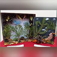 В Ершовской школе искусств прошла выставка «Красота природного материала»