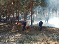 Саратовская область вошла в топ-5 регионов по оперативности тушения лесных пожаров