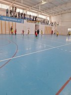 Ершовский "Авангард" вышел в золотой финал первенства