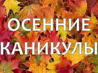 В школах Ершовского района начались осенние каникулы
