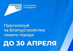 Более 2,5 тыс. ершовцев приняли участие в голосовании за объекты благоустройства