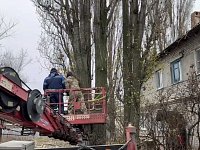 В Ершове проводят плановую опиловку и вывоз аварийных деревьев