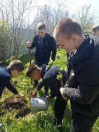 Ершовские школьники присоединились к международной акции «Сад Памяти»