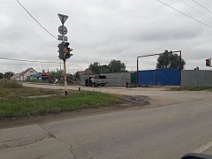 В Ершове проходит очередной «цикл» отлова бродячих животных