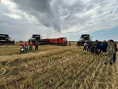 Ершовские артисты пели в поле для хлеборобов