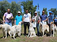 Ершовцы со своими питомцами приняли участие в юбилейной 90-й областной выставке собак