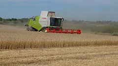 Ершовские аграрии приступили к уборочной кампании 2025