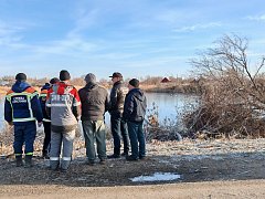 На водоеме в г.Ершове лебеди показали спасателям, что в помощи не нуждаются