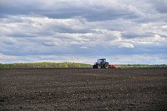 В области посеяли первый миллион гектаров яровых