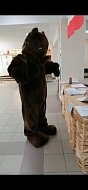 В Ершове на избирательный участок пришел медведь