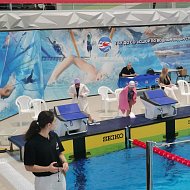Ершовские пловцы приняли участие в Областном фестивале по водным видам спорта ﻿
