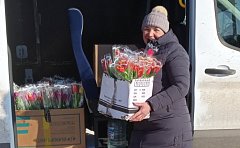Накануне Международного женского дня в Ершове торгуют по-настоящему весенними цветами