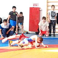 В Ершове завершился VIII межрайонный турнир по греко-римской борьбе, посвященный Году единства народов России