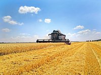 Саратовская область лидирует по урожаю зерна в ПФО
