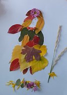 В Ершове состоялась творческая встреча любителей природы двух поколений