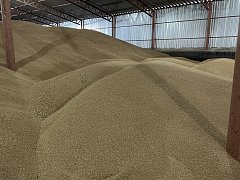 МТС «Ершовская»: подготовка к посевной