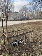 В Ершове вновь работали специалисты по отлову бродячих животных