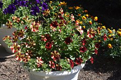 Погода в Ершове сегодня «капризничает»