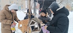Зимняя забота: ершовские школьники объединяются, чтобы поддержать птиц в суровые холода