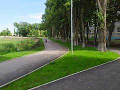 В Саратовской области благоустроили более 100 парков