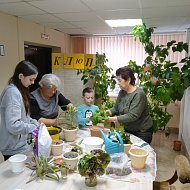 Ершовские бабушки и дети совместно сажали комнатные растения