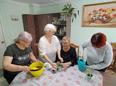 Ершовские бабушки выращивают «живую аптеку» на подоконнике
