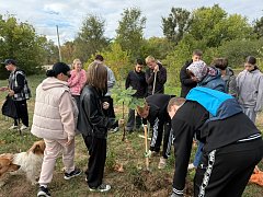 В школе Ершовского района состоялось мероприятие «Аллея памяти»