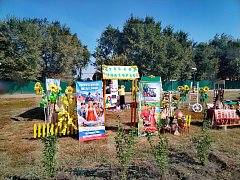 «Ершовские подсолнухи — 2026»: праздник, который объединил жителей и гостей района