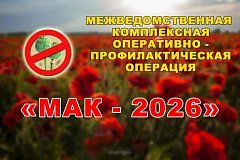 В регионе стартовал третий этап оперативно-профилактической операции «Мак - 2026»