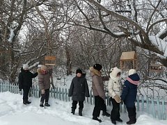 Зимняя забота: ершовские школьники объединяются, чтобы поддержать птиц в суровые холода