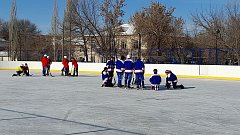 В Ершове прошел турнир по хоккею с мячом в честь юбилея города и района ⁣