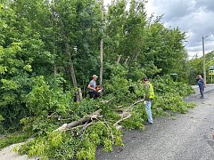 В Ершове МКУ "Благоустройство" продолжает систематическую работу по поддержанию чистоты и порядка