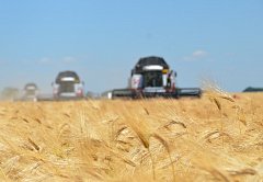 В Ершовском районе намолочены первые 100 000 тонн зерна урожая-2023