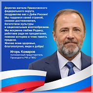 Полномочный представитель Президента РФ в ПФО Игорь Комаров поздравил жителей с Днём России