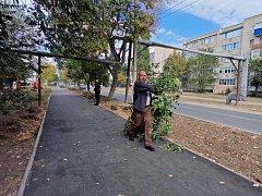 Глава Ершовского района принял участие в городском субботнике