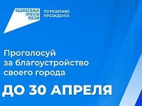Более 2,5 тыс. ершовцев приняли участие в голосовании за объекты благоустройства