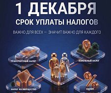 Имущественные налоги физических лиц за 2025 год необходимо оплатить не позднее 1 декабря 2026 года