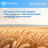 Что нужно учесть при продаже сельхозучастка, чтобы регистрация прошла без приостановки?