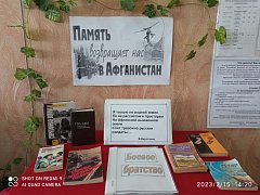 В Антоновской библиотеке Ершовского района прошел час памяти, посвященный воинам-интернационалистам