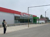 Еще 7 ершовских собак-«беспризорников» направлены в приют